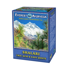 Himálajský ájurvédský čaj - SHALARI - Močový metabolismus & klouby