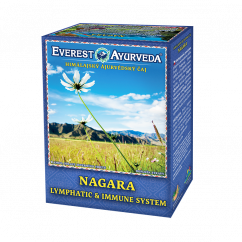 Himálajský ájurvédský čaj - NAGARA - Lymfatický systém & imunita